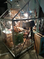 The Collector 11: The Umbra by Tricky Walsh and Mish Meijers